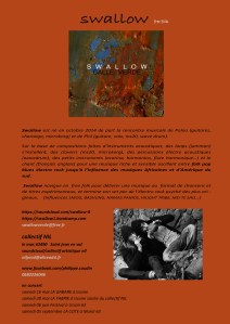 bio du groupe Swallow, free electric folk